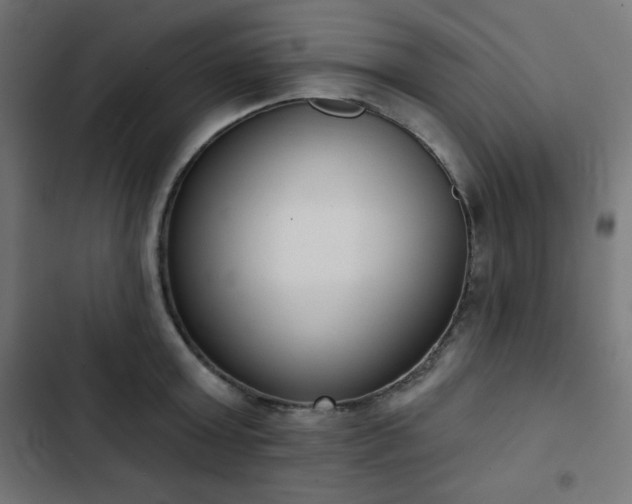 X0000103260803200809051442