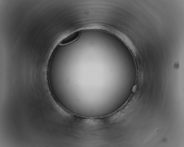 X0000103260805200809051442