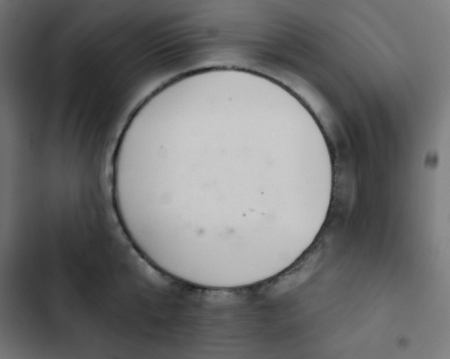 X0000103260807200809051442