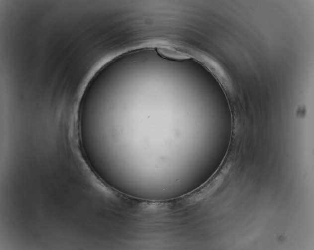 X0000103260808200809051442