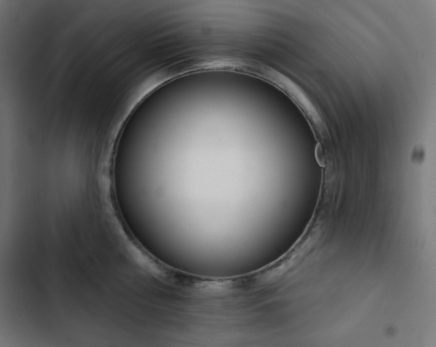 X0000103260810200809051442