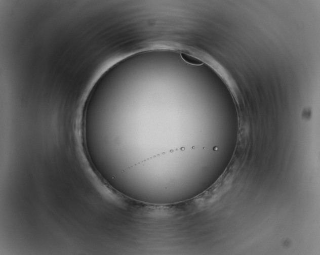 X0000103260811200809051442