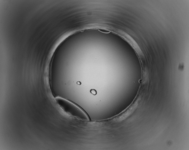 X0000103260812200809051442