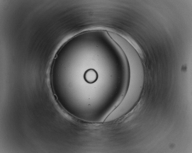 X0000103260813200809051442