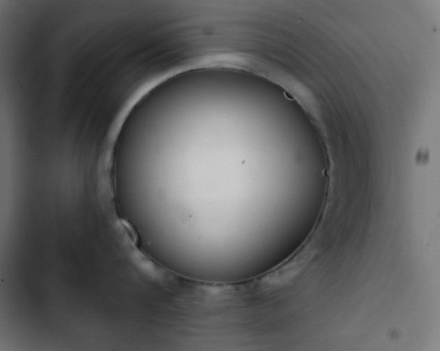 X0000103260816200809051442