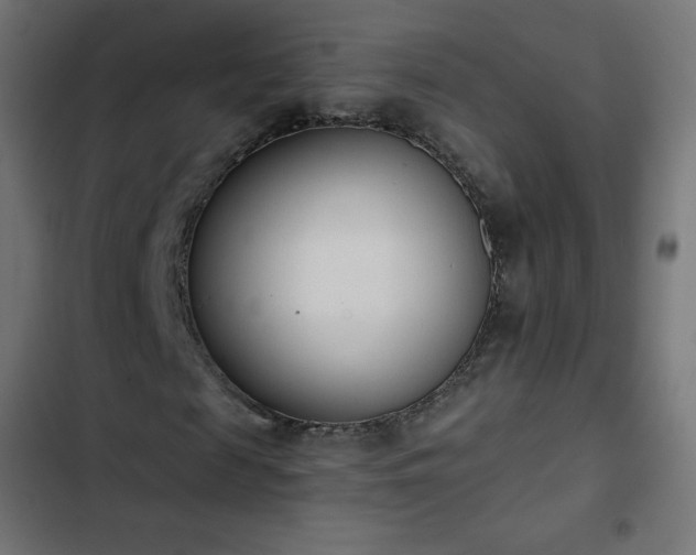 X0000103260817200809051441