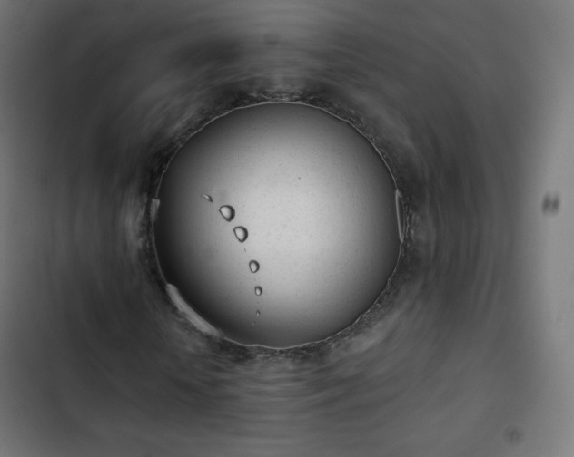 X0000103260818200809051441