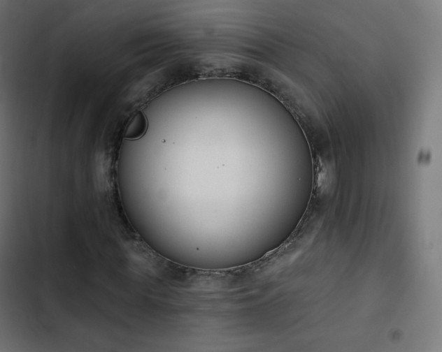 X0000103260819200809051441