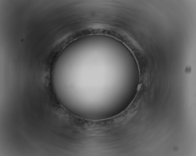 X0000103260821200809051441