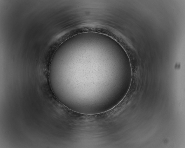 X0000103260822200809051441