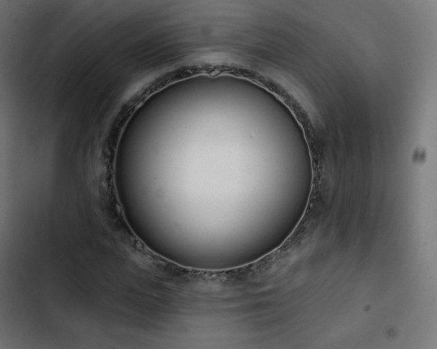 X0000103260823200809051441