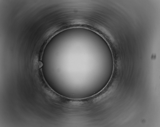 X0000103260825200809051441