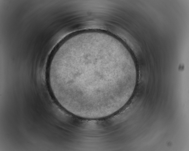 X0000103260828200809051441