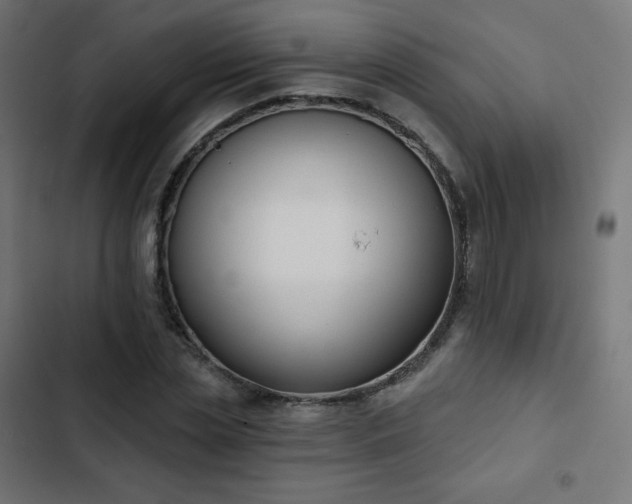 X0000103260829200809051441