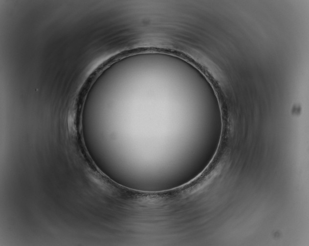 X0000103260830200809051441