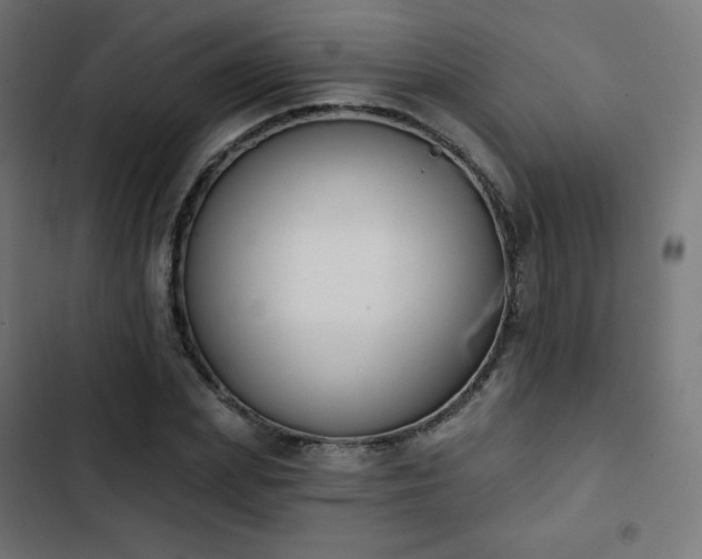 X0000103260831200809051441