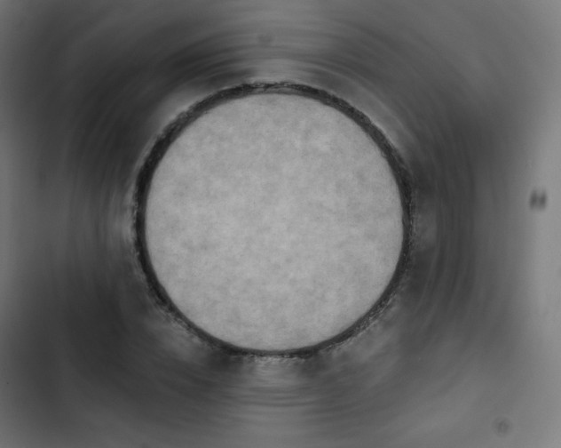 X0000103260832200809051441