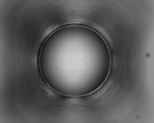 X0000103260834200809051441