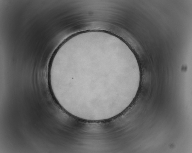 X0000103260836200809051441