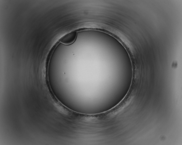 X0000103260837200809051441