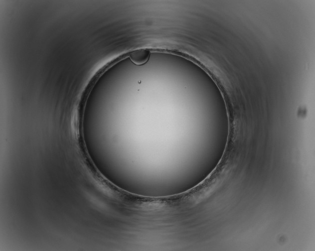 X0000103260838200809051441