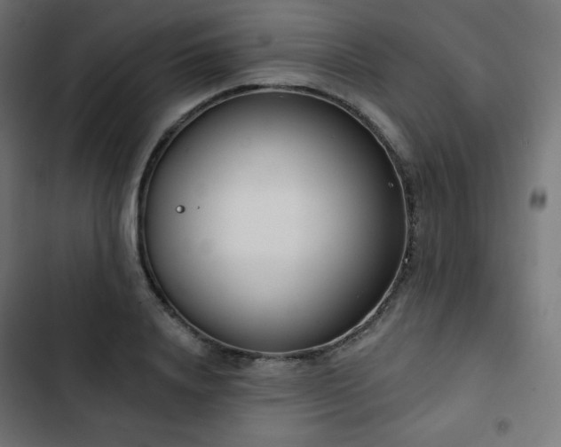 X0000103260840200809051441