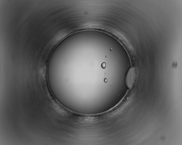 X0000103260841200809051441