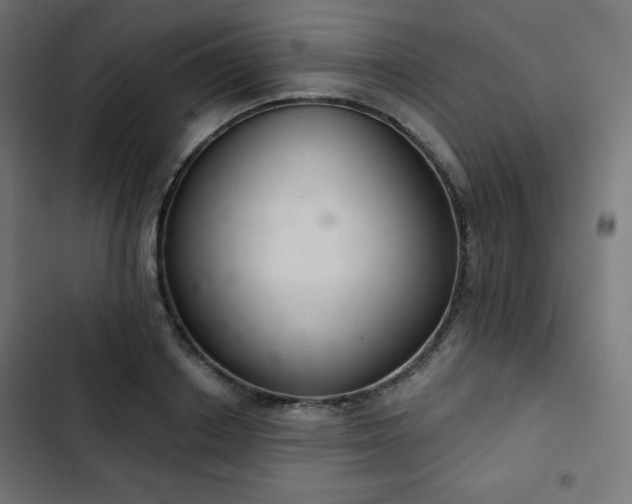 X0000103260842200809051441