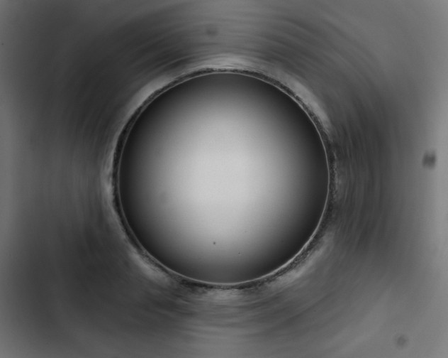 X0000103260845200809051441