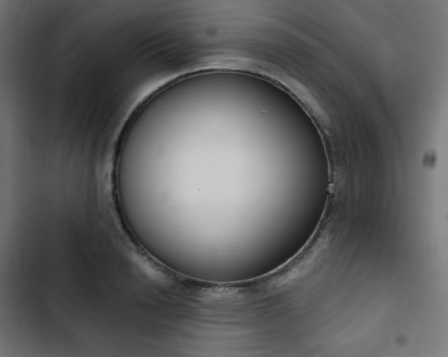 X0000103260846200809051441