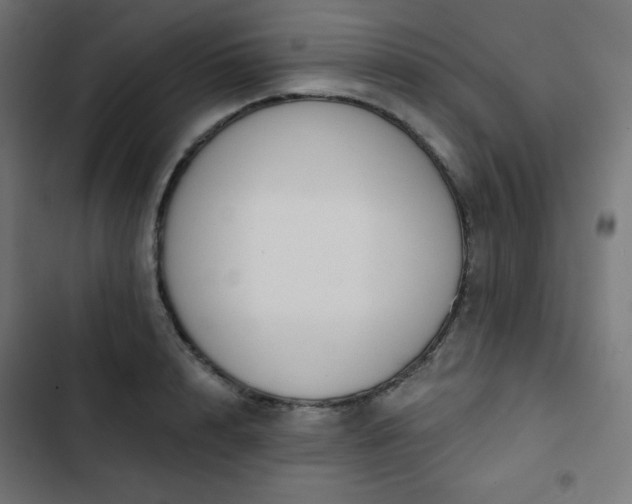 X0000103260848200809051441