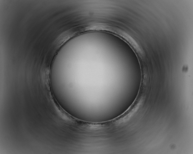 X0000103260849200809051441