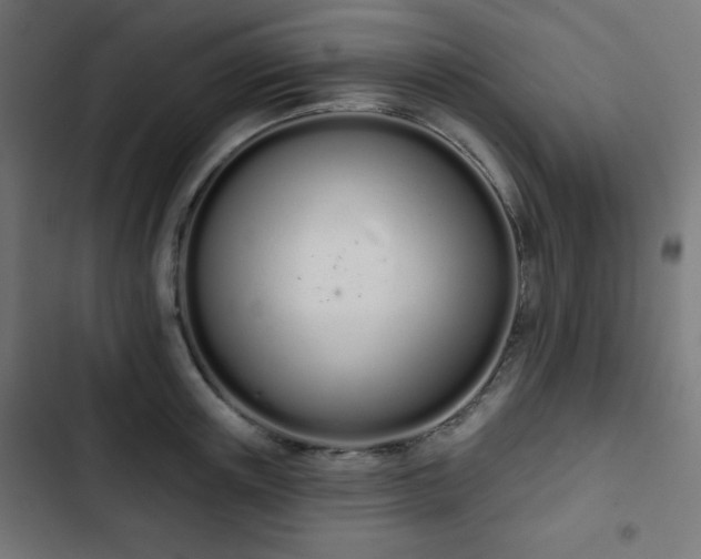 X0000103260851200809051442