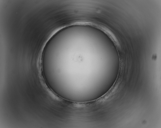 X0000103260852200809051442