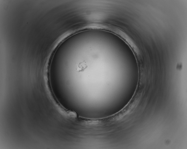 X0000103260853200809051442