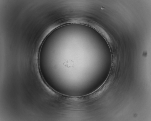 X0000103260855200809051442