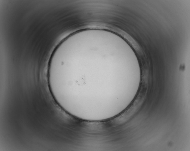 X0000103260856200809051442