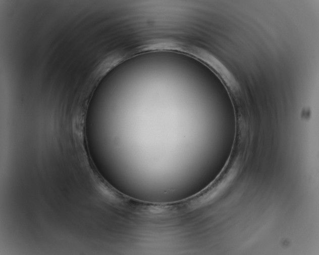 X0000103260857200809051442