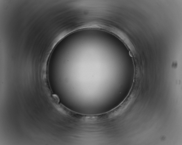 X0000103260858200809051442