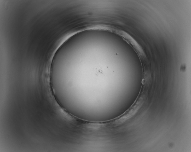 X0000103260860200809051442