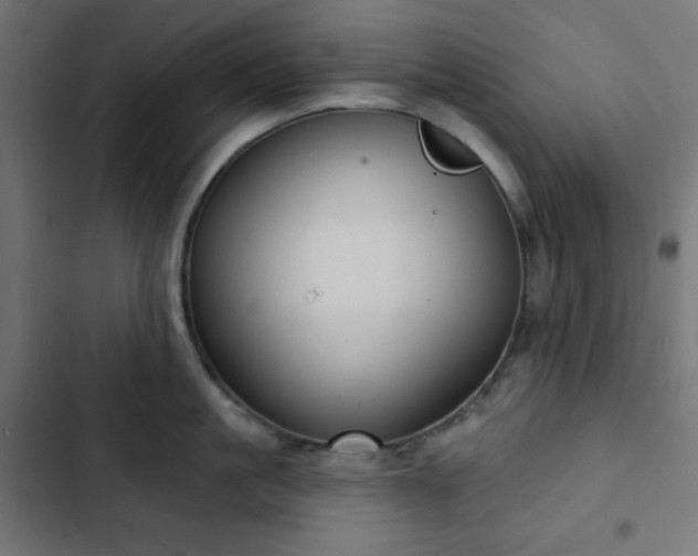 X0000103260861200809051442