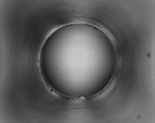 X0000103260862200809051442