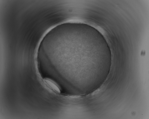 X0000103260864200809051442