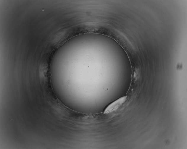 X0000103260867200809051441