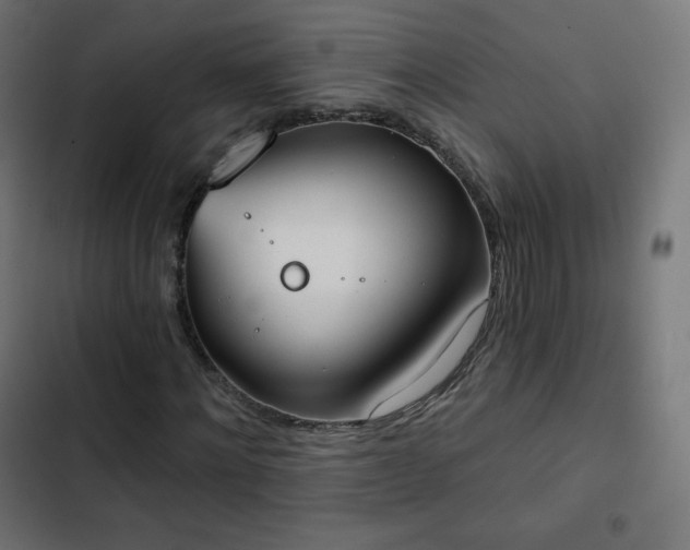 X0000103260868200809051441