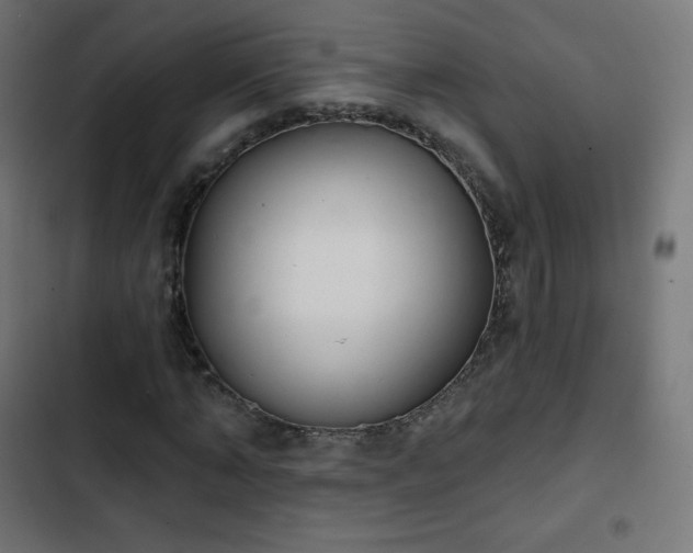 X0000103260870200809051441