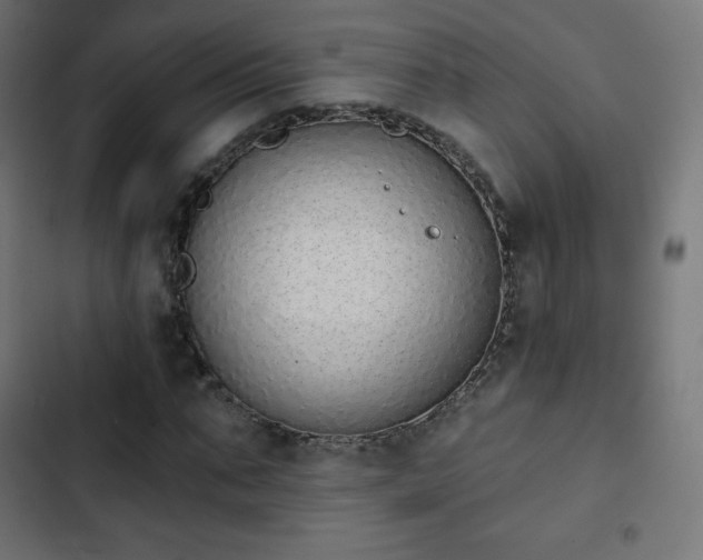 X0000103260871200809051441