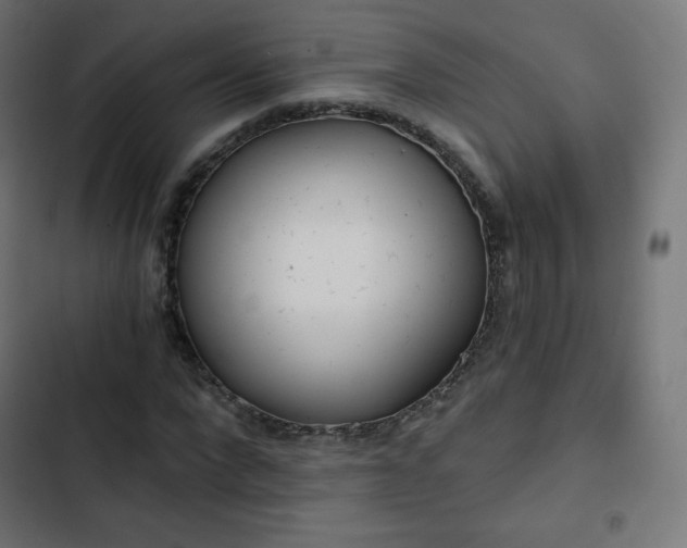 X0000103260872200809051441