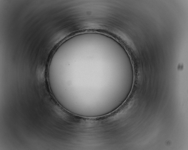 X0000103260873200809051441