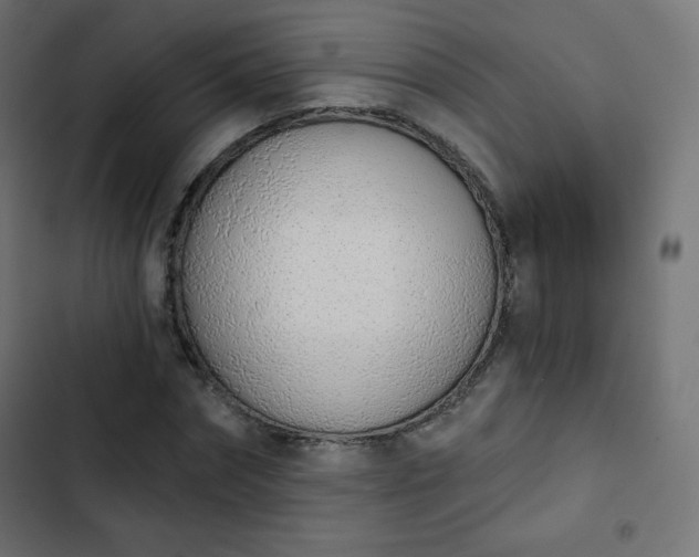 X0000103260874200809051441